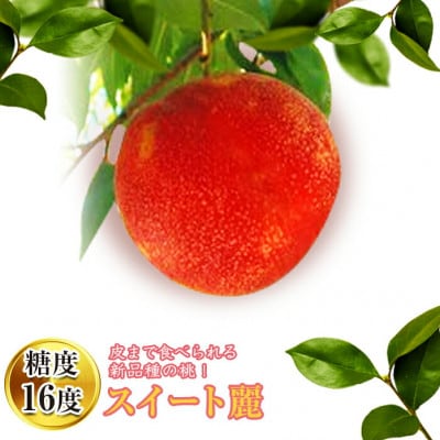 【先行予約】 福島県産 桃 スイート麗 1.5kg(6～9玉) 【高橋もも園】 F20C-149