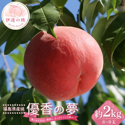 福島県産桃 優香の夢 (ゆうかのゆめ) 約2kg (6～9玉) F20C-729