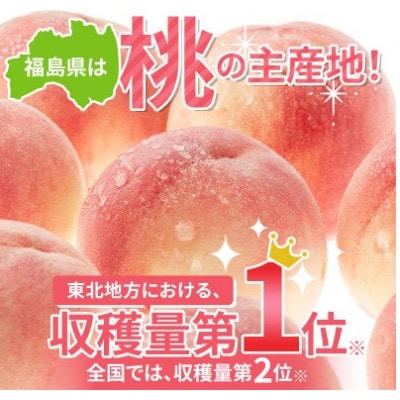 【先行予約】 福島産 桃 夏の陽 2kg(7～9玉) 【高橋もも園】 F20C-454