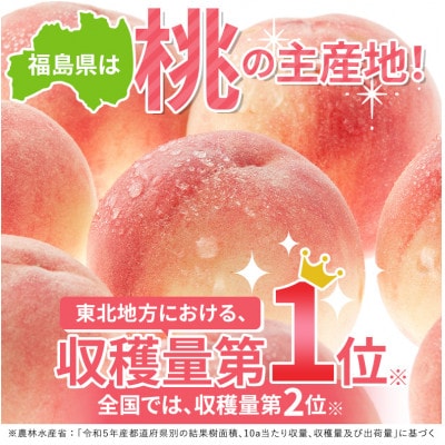 福島の桃【日々精進】あかつき 3kg(9～12玉) 伊達市産桃 F20C-608