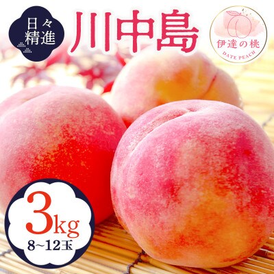 福島の桃【日々精進】川中島 3kg(8～12玉) 伊達市産桃 F20C-646
