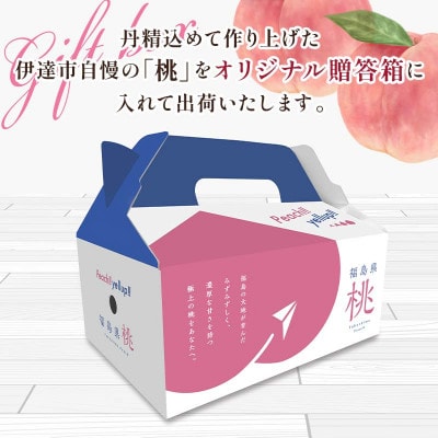 伊達市産の桃 あかつきの特秀 4玉入り (計約1.1kg)　F21C-079