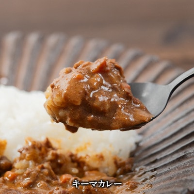 伊達鶏のチキンカレーセット2種セット(キーマカレー・バターチキンカレー)各2個入　F21C-091