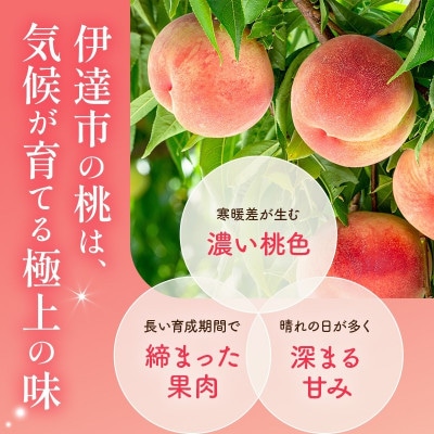 【2週間毎定期便】3回届く!伊達市産の桃の定期便 特秀もも大玉セット4玉入り(約1.2kg)全3回