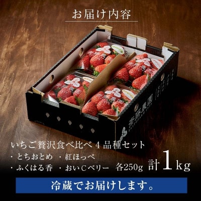 2026年発送】完熟 いちご 贅沢食べ比べ 4品種セット(1箱)F20C-533