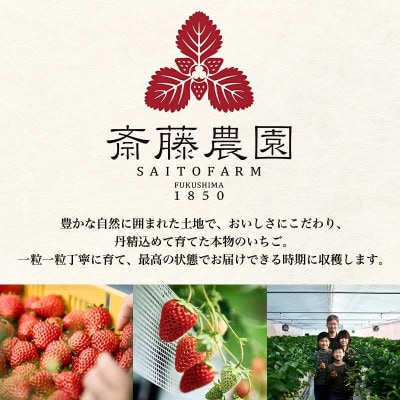 2026年発送】完熟 いちご 贅沢食べ比べ 4品種セット(1箱)F20C-533