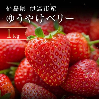 新品種のいちご 福島県 オリジナル品種「ゆうやけベリー」約1kg F20C-678