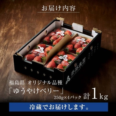 新品種のいちご 福島県 オリジナル品種「ゆうやけベリー」約1kg F20C-678