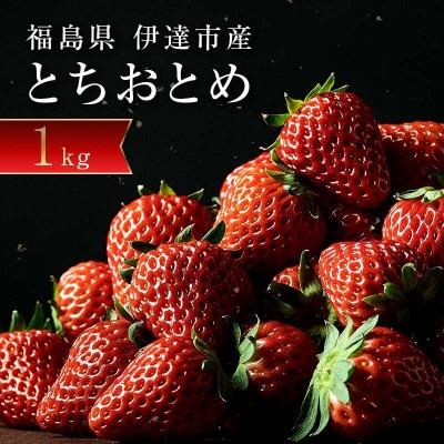 伊達市霊山で採れるいちご「とちおとめ」1kg (250g×4パック) イチゴ 苺 F20C-532