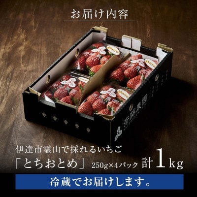 伊達市霊山で採れるいちご「とちおとめ」1kg (250g×4パック) イチゴ 苺 F20C-532