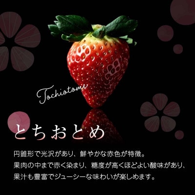 伊達市霊山で採れるいちご「とちおとめ」1kg (250g×4パック) イチゴ 苺 F20C-532