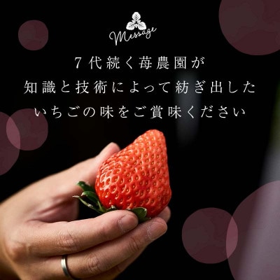 伊達市霊山で採れるいちご「とちおとめ」1kg (250g×4パック) イチゴ 苺 F20C-532