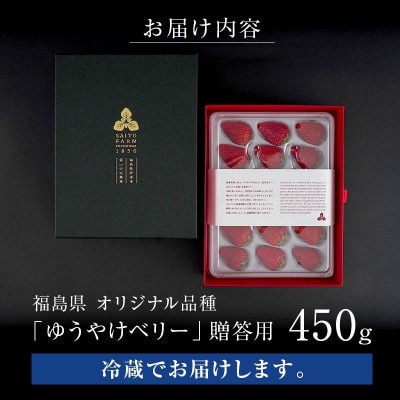 【贈答用】極上いちご!福島オリジナル品種 ゆうやけベリー 450g F20C-958