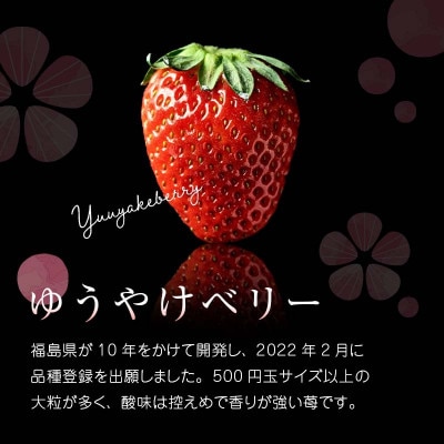 【贈答用】極上いちご!福島オリジナル品種 ゆうやけベリー 450g F20C-958