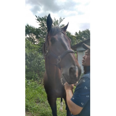 乗馬体験とエサやり体験 60分