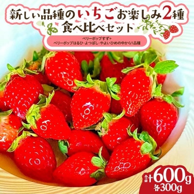 新しい品種のいちご お楽しみ 2種 食べ比べセット300g×2パック F21C-420