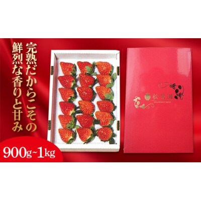 プレミアムいちご　約900g~1kg(約450g～500g×2箱) F20C-173