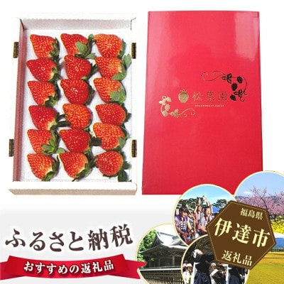 プレミアムいちご　約900g~1kg(約450g～500g×2箱) F20C-173