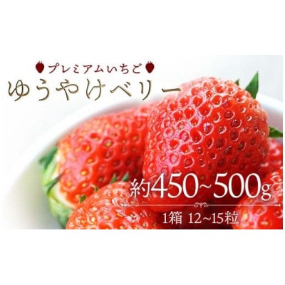 プレミアムいちご ゆうやけベリー 約450～500g(12～15粒) F20C-981