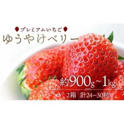 プレミアムいちご ゆうやけベリー 約900g～1kg(24～30粒) F20C-982