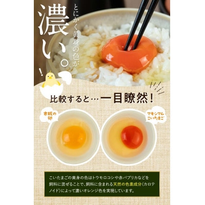 とにかく黄身が濃いたまご「マキシマムこいたまご」30個入りMS～LLサイズ　F21C-180