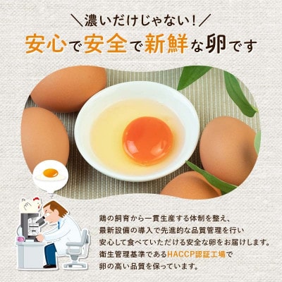 とにかく黄身が濃いたまご「マキシマムこいたまご」30個入りMS～LLサイズ　F21C-180