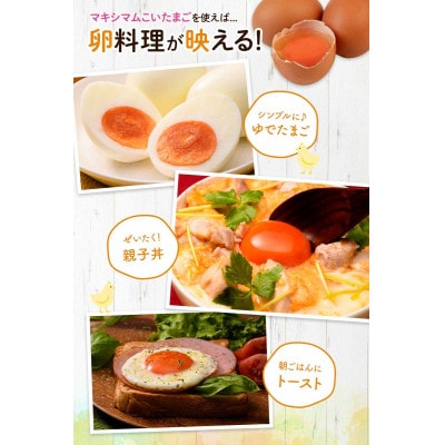 とにかく黄身が濃いたまご「マキシマムこいたまご」30個入りMS～LLサイズ　F21C-180