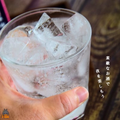 黒糖焼酎×炭酸!真夜中のハイボール(350ml×24本)
