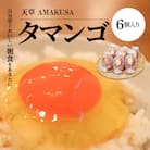 天草 タマンゴ 6個 卵_S038-001A
