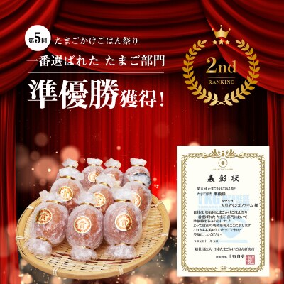 天草 タマンゴ 10個 卵_S038-004A