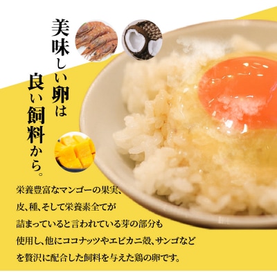 天草 タマンゴ 10個 卵_S038-004A