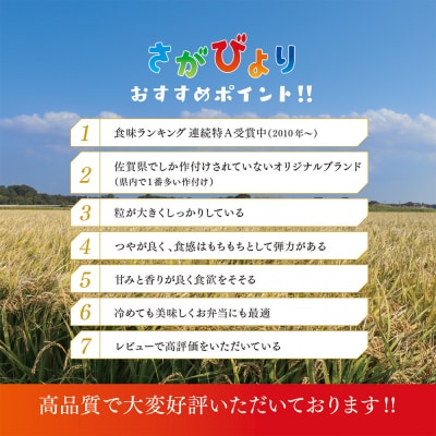 【数量限定】【令和6年産】さがびより 精米 10kg(H015194)