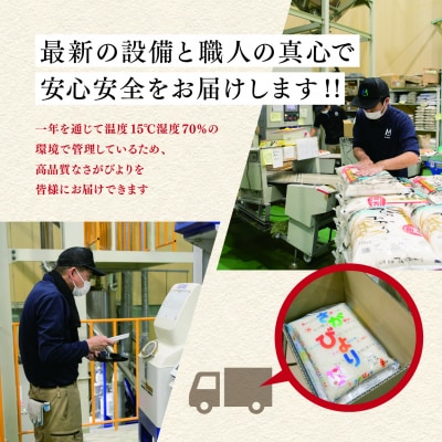 【数量限定】【令和6年産】さがびより 精米 10kg(H015194)