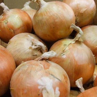 淡路島産玉ねぎ 5kg