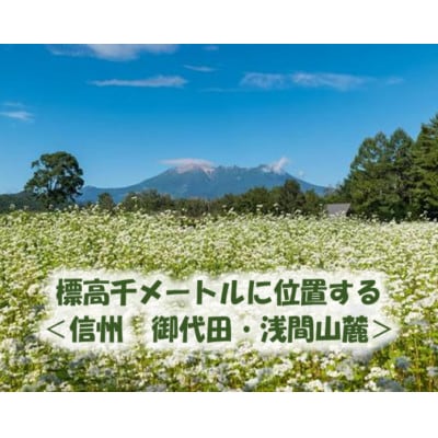 【信州の七割そば】みよた七割1セット24人前(250g×8袋)