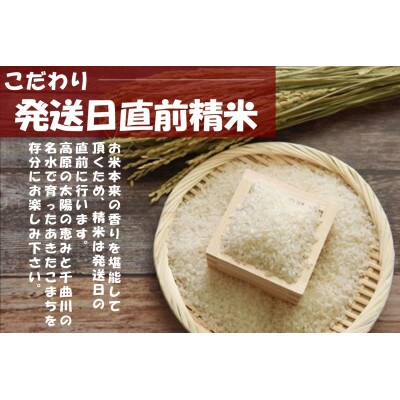 【令和4年産/はぜかけ米】長野県御代田町産あきたこまち精米10kg
