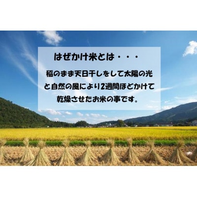 【令和4年産/はぜかけ米】長野県御代田町産あきたこまち精米10kg(5kg×2袋)