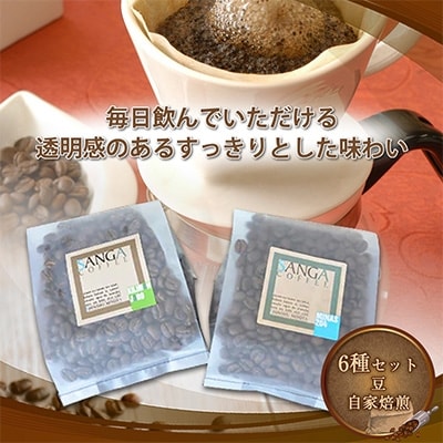 サンガコーヒー〈豆〉100g×6種