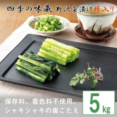 野沢菜漬樽入り5kg【 漬物 野沢菜漬け 】