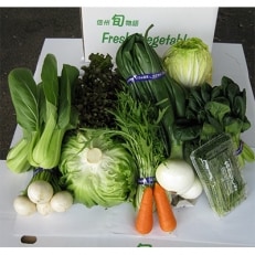 長野県御代田町産 旬の新鮮野菜セット | ふるさと納税のお礼品