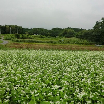 アドベンチャー体験(BBQ付)蕎麦打ち体験コース
