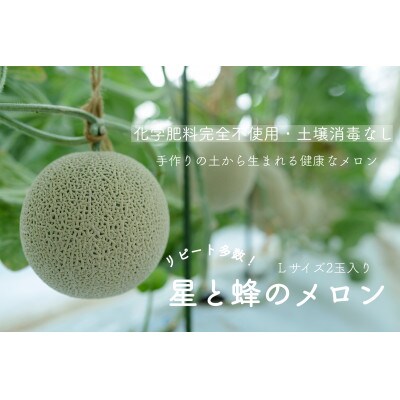 【令和6年度産先行受付】星と蜂のメロン　Lサイズ2玉 | ふるさと納税のお礼品