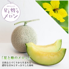 【令和5年度産先行受付】星と蜂のメロン　Mサイズ2玉
