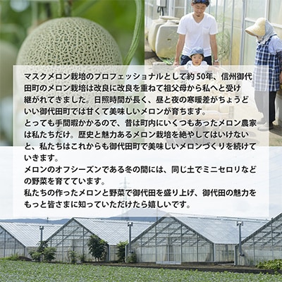 【令和7年度産先行受付】星と蜂のメロン　Mサイズ2玉