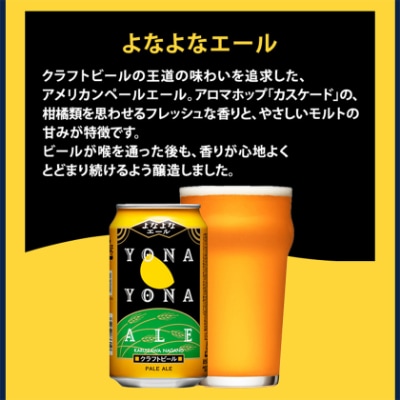 【3ヵ月毎定期便】長野県のクラフトビール(お酒)12本 ヤッホーブルーイングの3種飲み比べ全3回