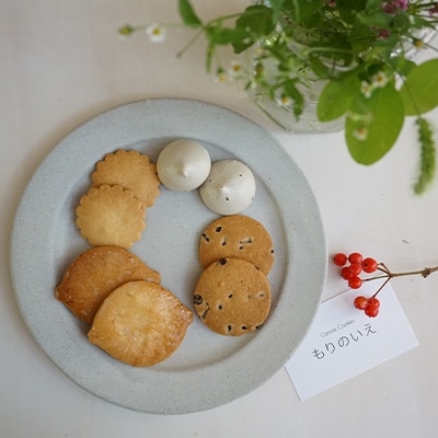 軽井沢高原の森【Canvas Cookiesもりのいえ】8種　無添加焼き菓子セット