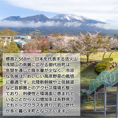 浅間高原 山椒 味噌 200g 自然発酵の手作り高級信州みそ 長野の健康食品調味料