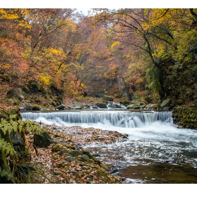 長野県御代田町宿泊等利用助成券(3,000円分)