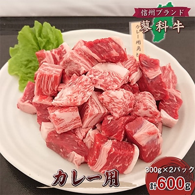 【牛肉カレー用】信州蓼科牛の厳選部位をおまかせ600g(300g×2パック)御代田町古越牧場産