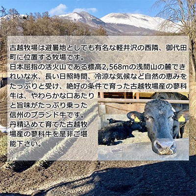 【牛肉カレー用】信州蓼科牛の厳選部位切落しセット600g(300g×2パック)御代田町古越牧場産